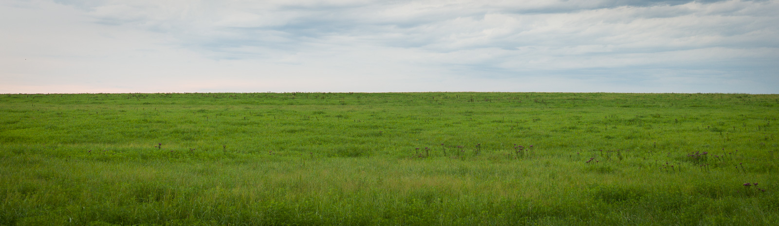 Spring prairie landscape in Kansas